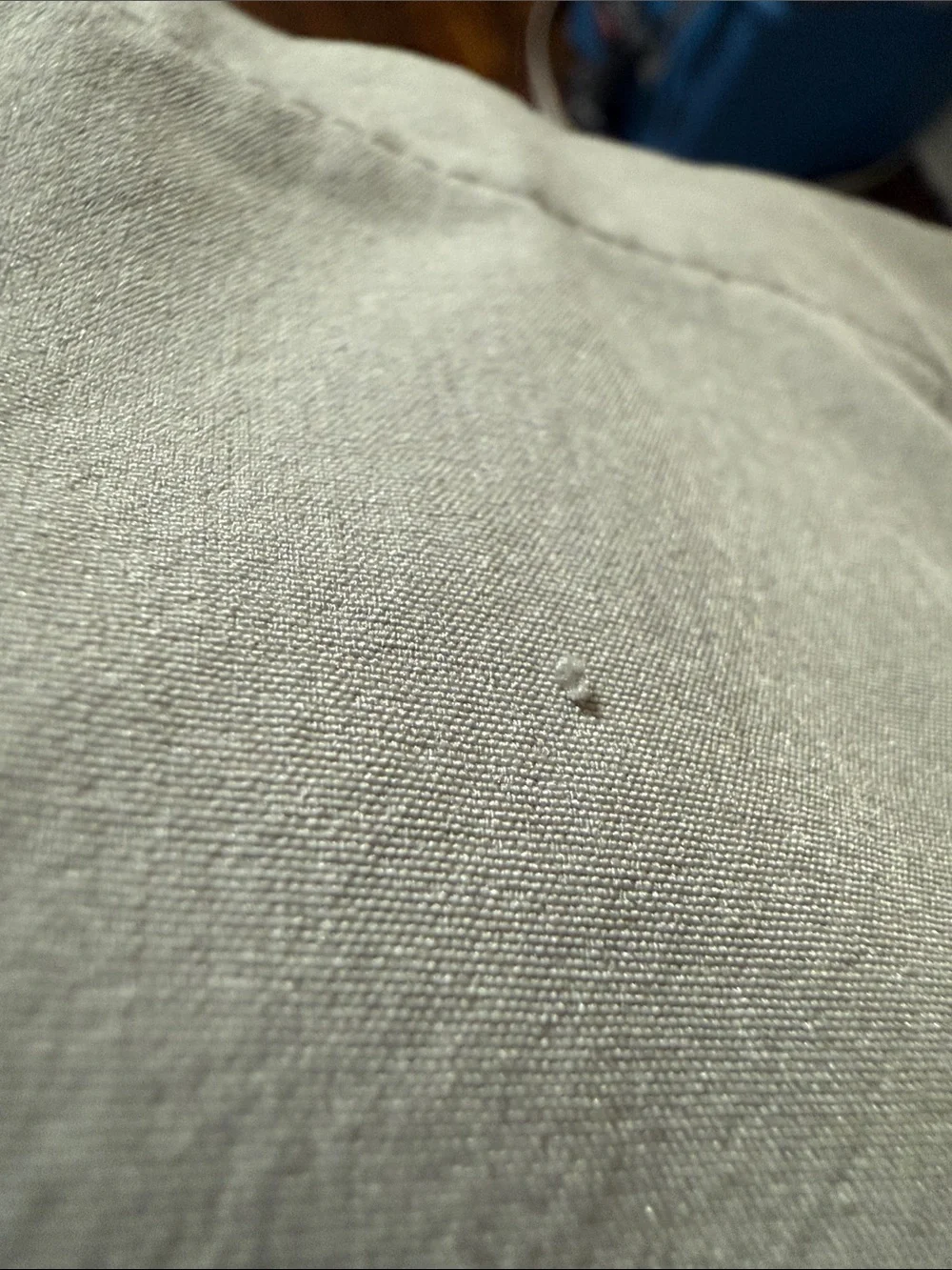adidas Men's Chinos in Light Gray